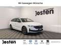 Skoda Octavia Combi Sportline 2.0 TDI DSG AHK Matrix HUD Blanco - thumbnail 1