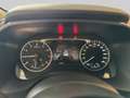 Nissan Qashqai 1.3 Mild-Hybrid 140pk Acenta Panoramadak Grau - thumbnail 15