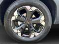 Dacia Bigster TCe 130 Extreme 4x4 Glasdach, Kamera Gris - thumbnail 24