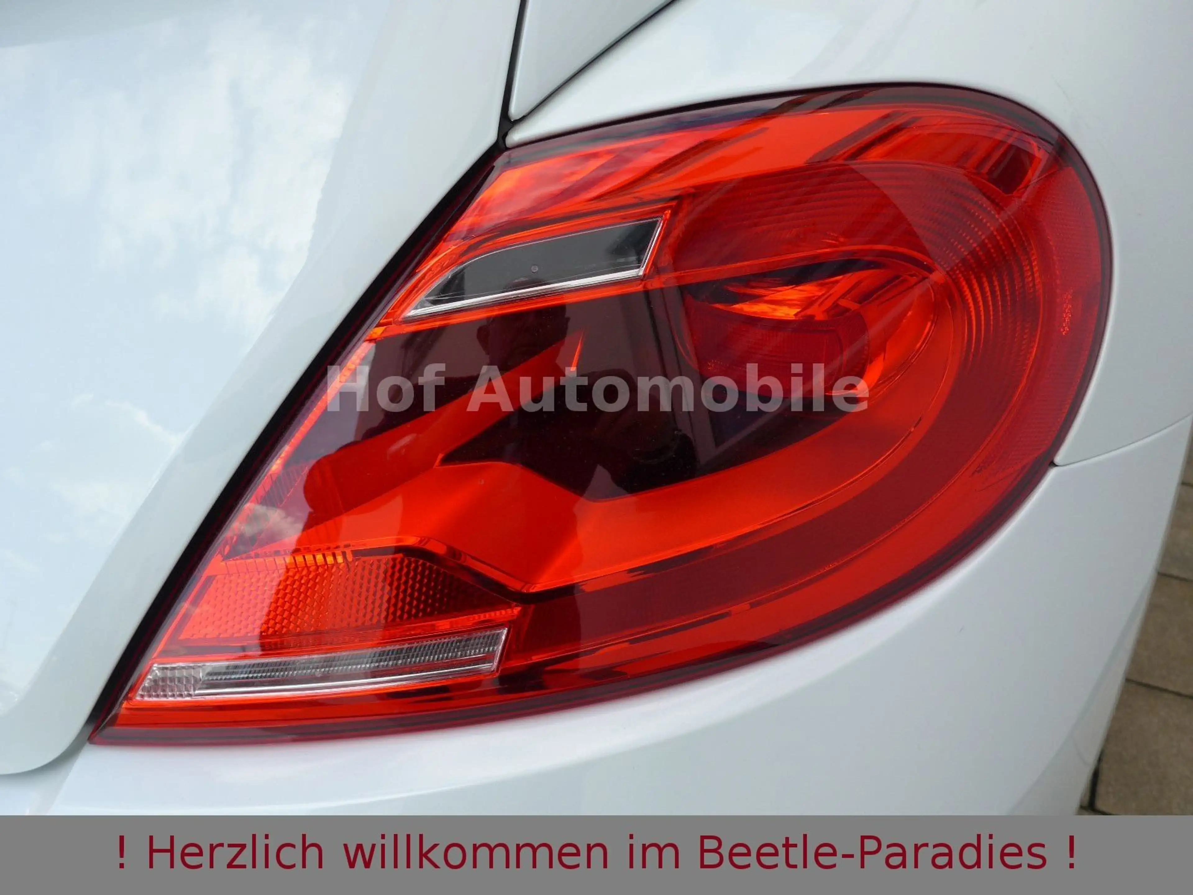 Volkswagen Beetle 1.2TSI 50"s Design Xenon Kamera Leder — photo 12