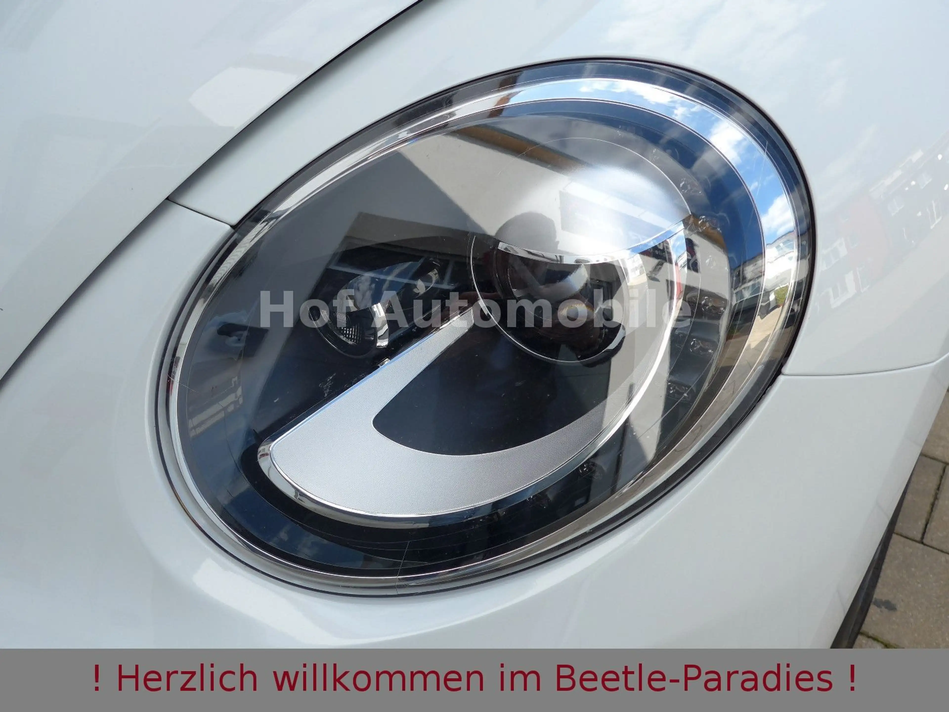 Volkswagen Beetle 1.2TSI 50"s Design Xenon Kamera Leder — photo 11