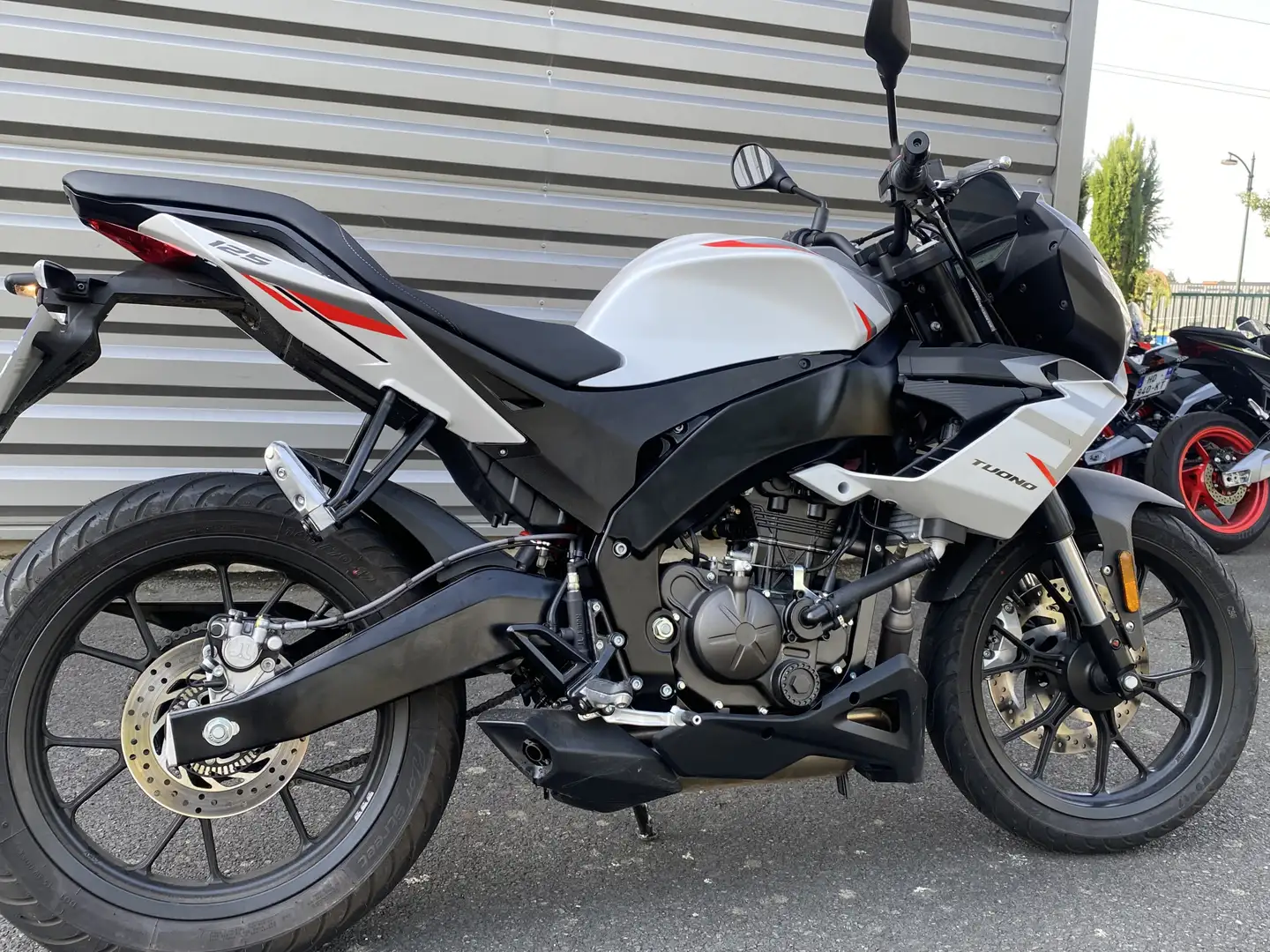 Aprilia Tuono - 1
