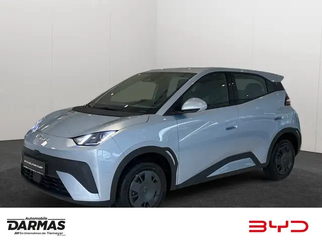 BYD Dolphin DOLPHIN SURF Active Vorverkauf