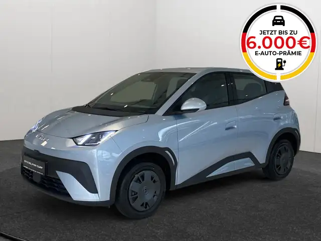 BYD Dolphin DOLPHIN SURF Active