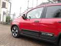 Fiat Panda 1.0 FireFly S&S Hybrid Pandina Gris - thumbnail 4