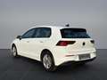 Volkswagen Golf VIII 1.5 TSI Life LED/AHK/Navi/ACC/App Weiß - thumbnail 5