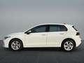 Volkswagen Golf VIII 1.5 TSI Life LED/AHK/Navi/ACC/App Weiß - thumbnail 4