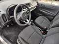 Kia Picanto 1.0 CVVT EconomyPlusLine / Airco / Eerste eigenaar Gris - thumbnail 13