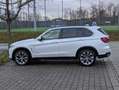 BMW X5 X5 xDrive30d Weiß - thumbnail 4