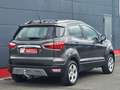 Ford EcoSport Titanium *Navi*PDC*LED*AHK*Scheckheft* Grau - thumbnail 9