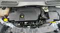 Ford Kuga 2.0 TDCi 120cv Titanium 2WD S&S E6 Alb - thumbnail 23