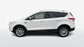 Ford Kuga 2.0 TDCi 120cv Titanium 2WD S&S E6 Alb - thumbnail 4