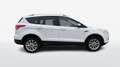 Ford Kuga 2.0 TDCi 120cv Titanium 2WD S&S E6 Alb - thumbnail 3