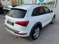 Audi Q5 2.0 TFSI Quattro Allroad *Led*Finanzierung* Weiß - thumbnail 6
