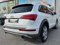 Audi Q5 2.0 TFSI Quattro Allroad *Led*Finanzierung* Weiß - thumbnail 8