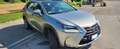 Lexus NX 300 NX I 2014 300h 2.5 Executive 4wd cvt Argento - thumbnail 2