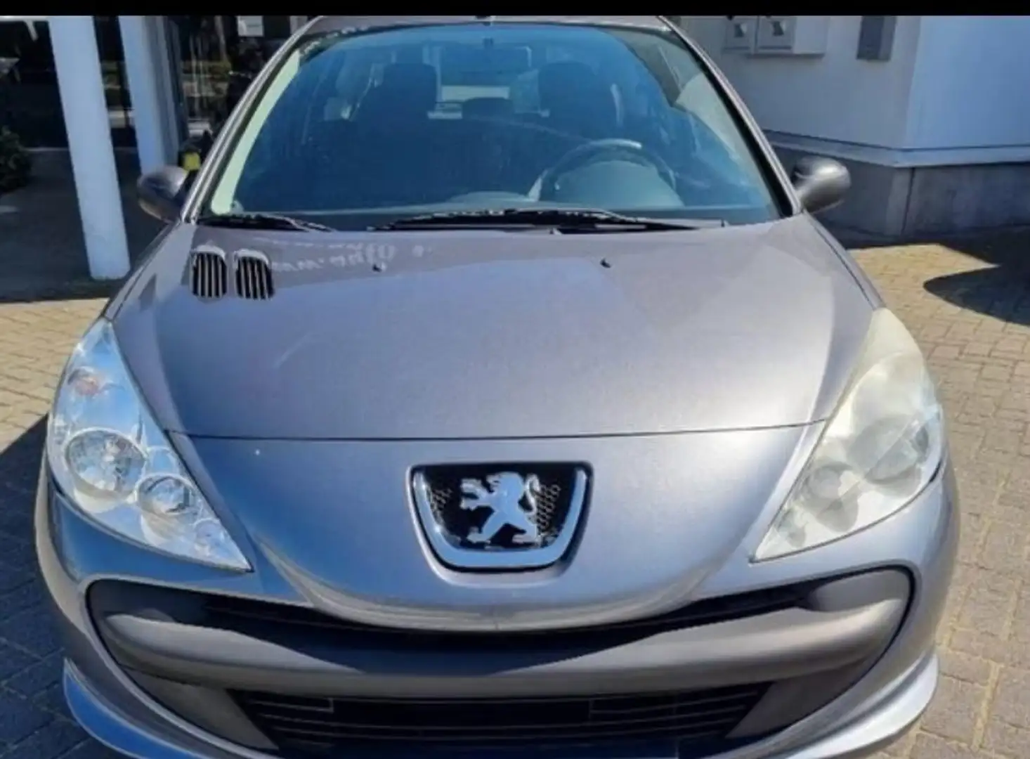 Peugeot 206 206+ 60 Grijs - 1