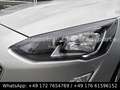 Ford Focus Lim. 1.5d Titanium *NAVI*KLIMA*KAM*LED*SHZ Argent - thumbnail 17