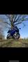 Honda CBR 600 cbr600rr Bleu - thumbnail 5