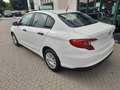 Fiat Tipo Tipo 4p 1.4 Easy 95cv my17 Weiß - thumbnail 8