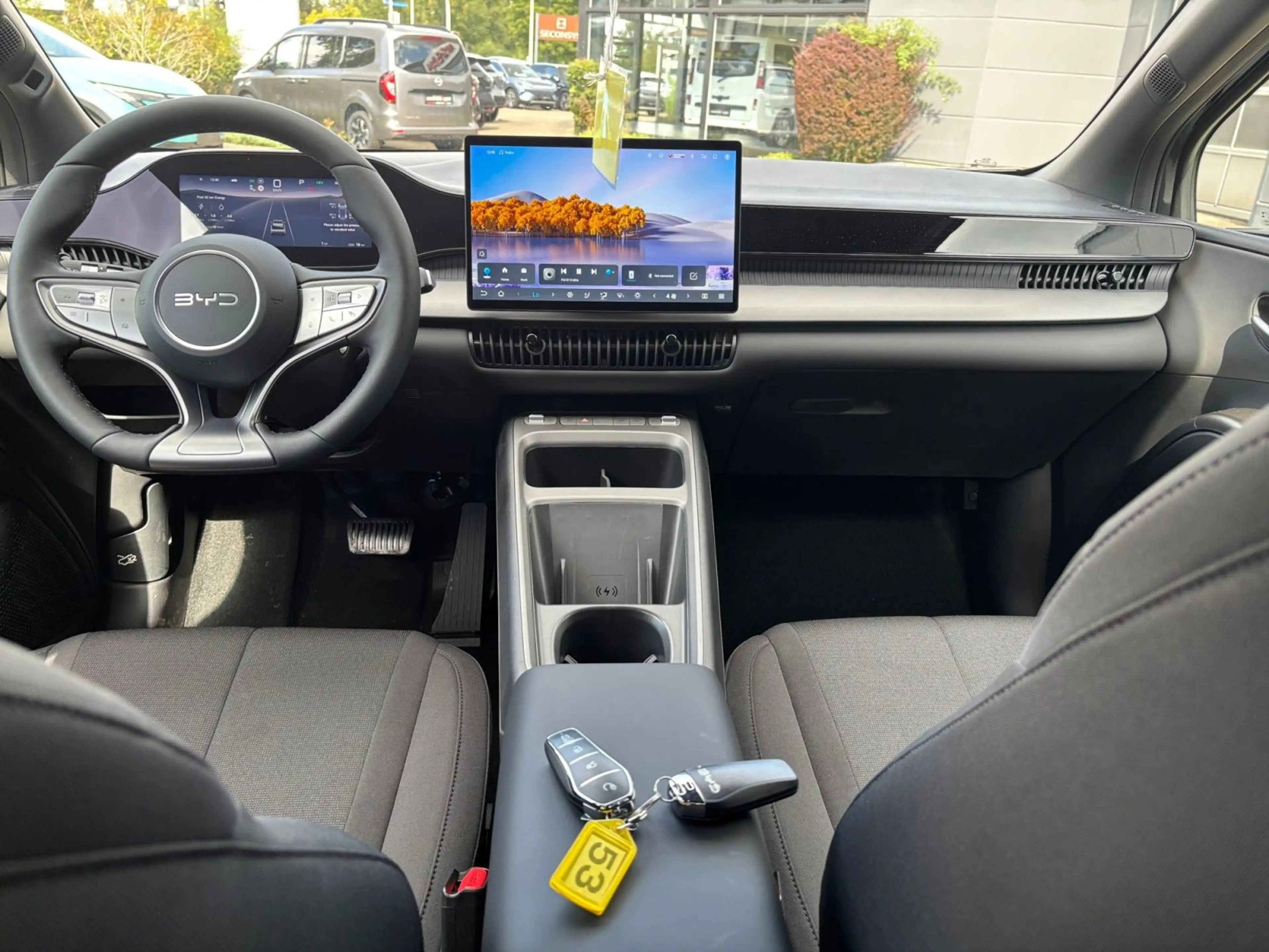 BYD Dolphin G DM-i Boost — photo 11