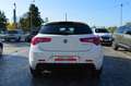 Alfa Romeo Giulietta 1.6 jtdm 120Cv tct Super - automatica Bianco - thumbnail 5