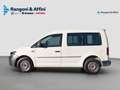 Volkswagen Caddy Caddy 2.0 TDI Kombi Bianco - thumbnail 8