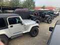 Jeep Wrangler -JEEPS KAATSHEUVEL AMERICARS.NL- - thumbnail 7