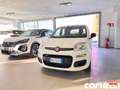Fiat Panda Panda 1.0 FireFly S&S Hybrid Pop Blanc - thumbnail 10