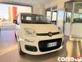 Fiat Panda Panda 1.0 FireFly S&S Hybrid Pop Blanc - thumbnail 5