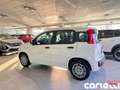 Fiat Panda Panda 1.0 FireFly S&S Hybrid Pop Blanc - thumbnail 6