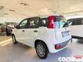 Fiat Panda Panda 1.0 FireFly S&S Hybrid Pop Blanc - thumbnail 9