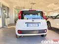 Fiat Panda Panda 1.0 FireFly S&S Hybrid Pop Blanc - thumbnail 7