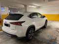 Lexus NX 300 300h 2.5 F Sport 4wd cvt Bianco - thumbnail 2