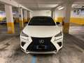 Lexus NX 300 300h 2.5 F Sport 4wd cvt Bianco - thumbnail 3