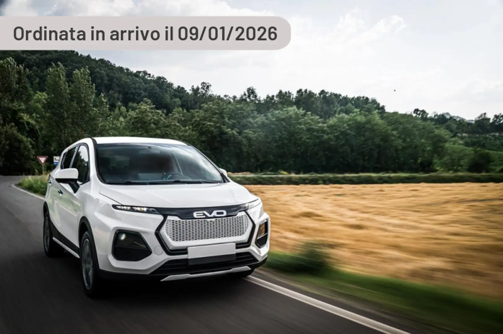 EVO EVO4 1.6 Argento - 2