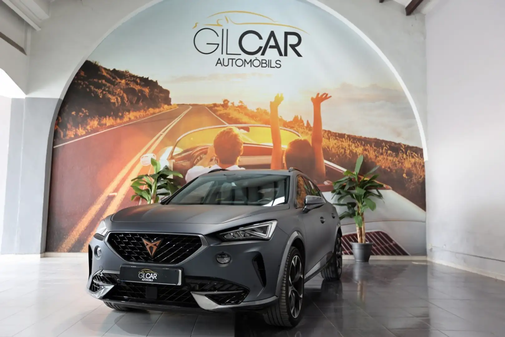 CUPRA Formentor 2.0 TSI 310 VZ DSG 4Drive Gris - 1