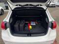 Mercedes-Benz A 250 e AMG-Line ++Wenige KM!++Pano++LED++ Alb - thumbnail 12