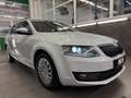 Skoda Octavia Combi L&K LEDER STHZG XENON AHK SHZ PDC Weiß - thumbnail 12