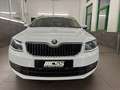 Skoda Octavia Combi L&K LEDER STHZG XENON AHK SHZ PDC Weiß - thumbnail 16