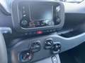 Fiat Panda Panda III 2024 1.0 firefly hybrid s Negro - thumbnail 12