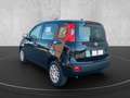 Fiat Panda Panda III 2024 1.0 firefly hybrid s Negro - thumbnail 6