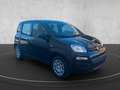 Fiat Panda Panda III 2024 1.0 firefly hybrid s Negro - thumbnail 3