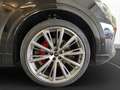 Audi Q8 50 TDI qu. S line AHK Pano Matrix LM 23" B&O Schwarz - thumbnail 15
