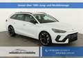 CUPRA Leon Sportstourer 1.5 eTSI 110 kW ST DSG, AHK, Navi,... Weiß - thumbnail 1