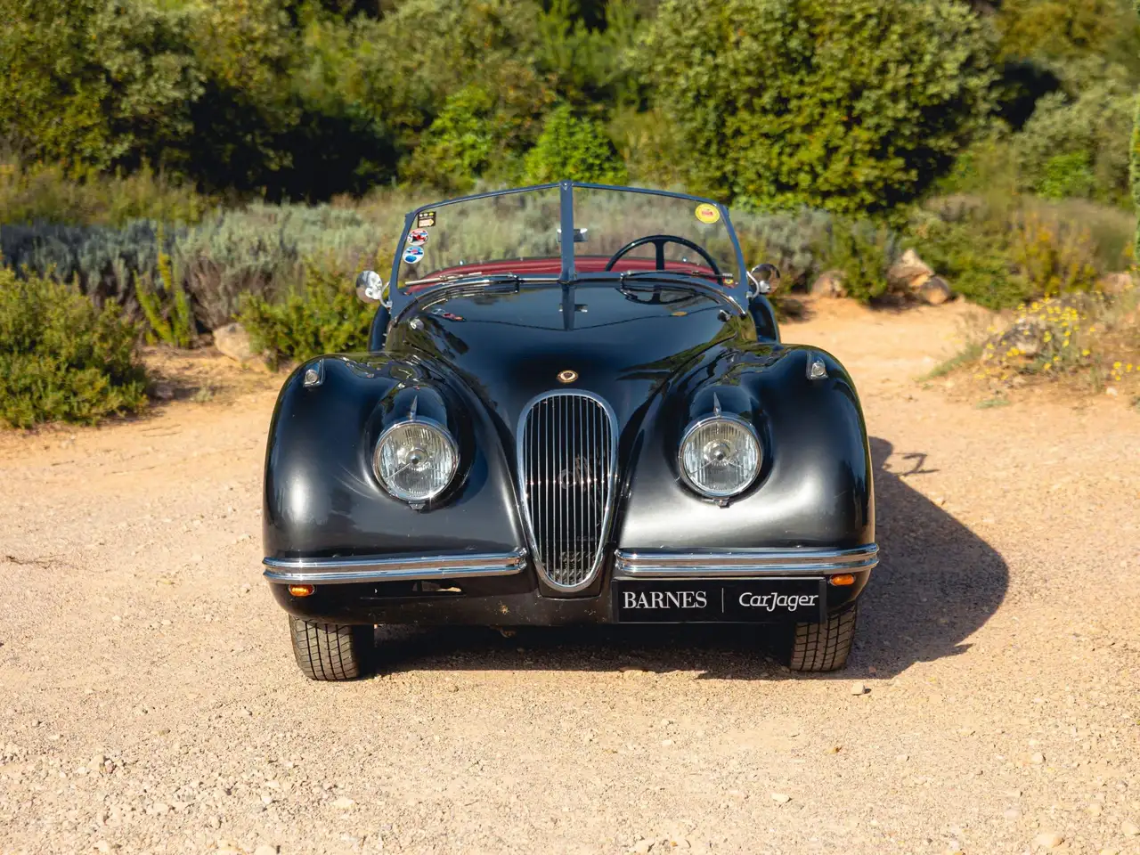 Jaguar XK120 OTS, foto 5