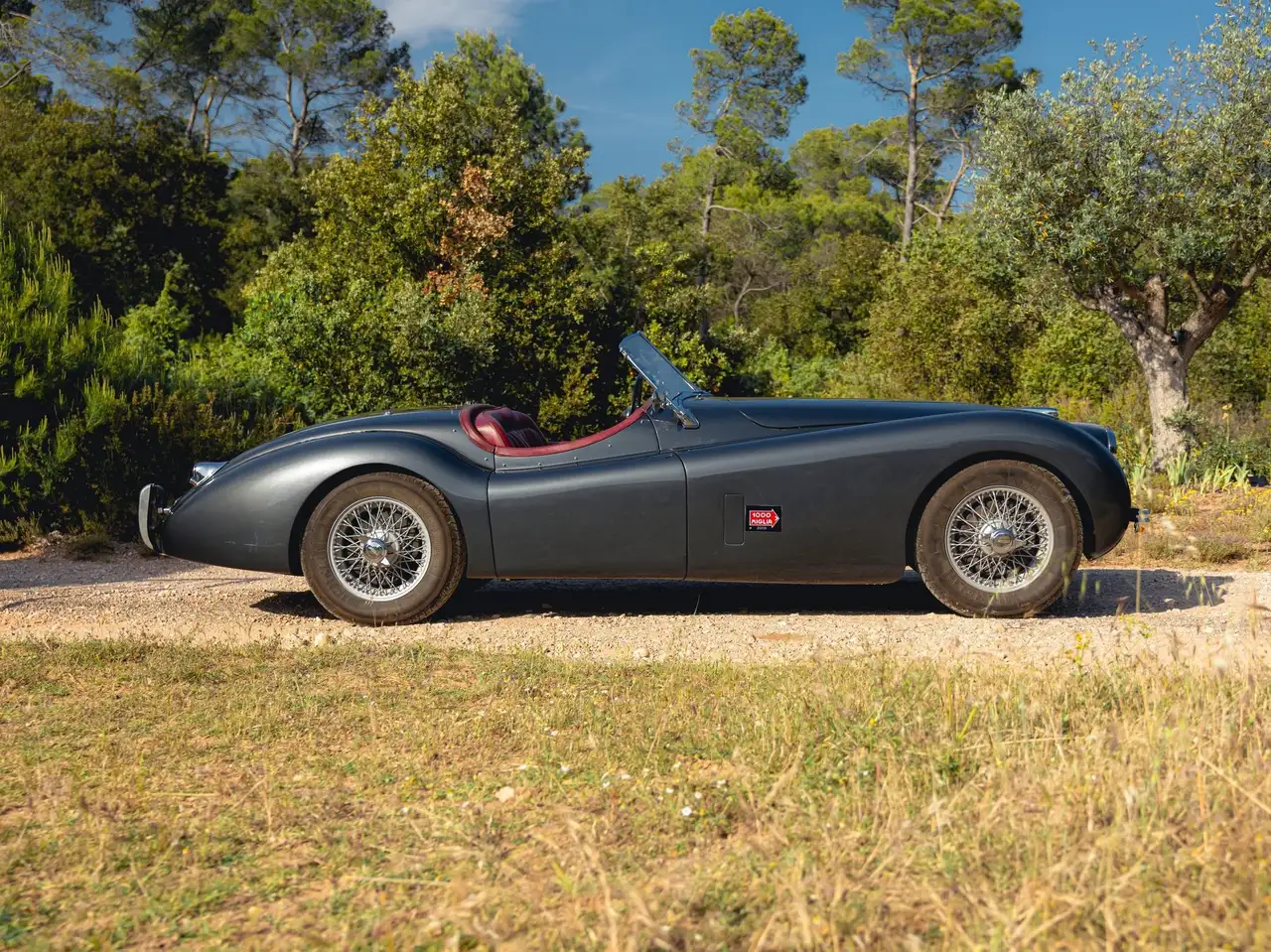 Jaguar XK120 OTS, foto 4