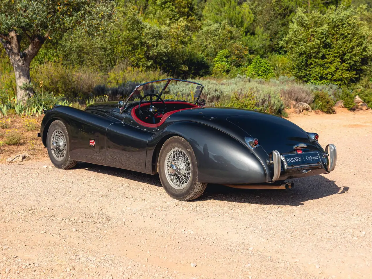 Jaguar XK120 OTS, foto 2