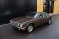 Jaguar XJ6 4.2 ltr. Manual gearbox with Overdrive Brun - thumbnail 16