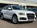 Audi Q5 2.0 TDI  quattro-Xenon-AHK-Alcantara-SHZ-PDC Weiß - thumbnail 5